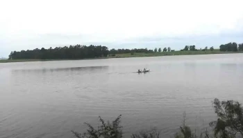 Campo Abeja Lindner - Montes Campo Abeja Lindner - Montes