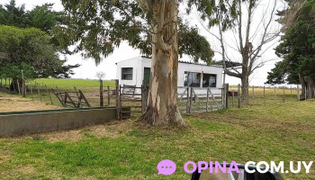 Campo Experimental N°1, Facultad De Veterinaria - UdelaR - 91700 Montes Campo Experimental N°1, Facultad De Veterinaria - UdelaR - 91700 Montes