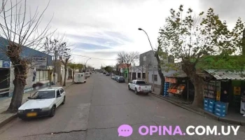 Campo Nuevo Srl - Manuel Freire