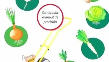 CampoflorUY - 11300 Montevideo