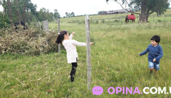 Cancha de Cerro Colorado - 96500 Alejandro Gallinal