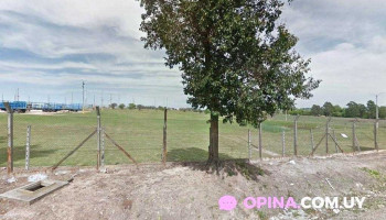 Cantina. La Piraña - Montevideo Cantina. La Piraña - Montevideo