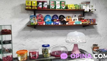 Capibara Pando - Pando