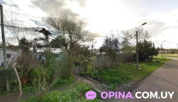 Carqueja - 13000 Montevideo Carqueja - 13000 Montevideo