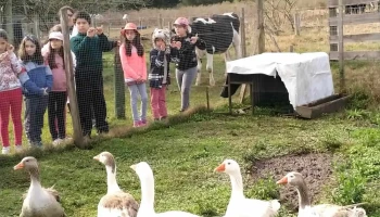 Ceimer, Escuela - Rocha