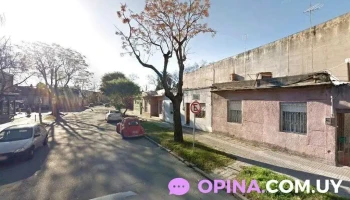 CelebrArte - Montevideo