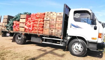 Central Fruticola del Norte - Casa Dragone - 60000 Paysandú