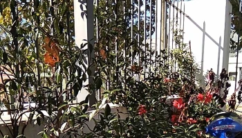 Centro Curva De Maroñas - Montevideo