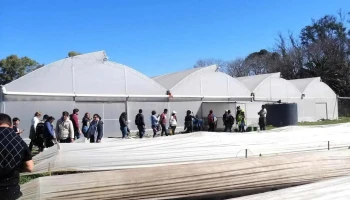 Centro Esperanza Young - Cady - Young