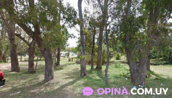 Centro Juvenil Kelé Kelé - Pajas Blancas