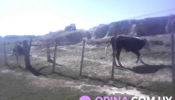 Centro Mec Noblía - Isidoro Noblía