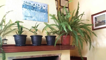 Centro Neuropsicológico San José - San José De Mayo