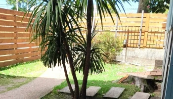 Centro Oeste Nuevo Paris - Montevideo Centro Oeste Nuevo Paris - Montevideo