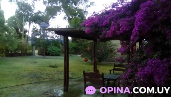 Cepia (Centro Psicopedagógico Integral de Atlántida) - 15200 Atlántida