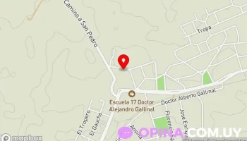 Cerro Tv Cable - 96500 Alejandro Gallinal