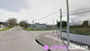 Cerveza.alimentos y bebidas - 13000 Montevideo