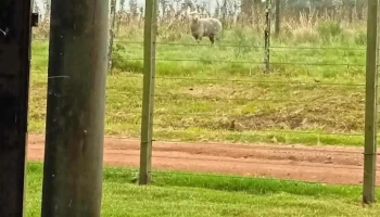 Chacra La Franciscana - Departamento De Maldonado