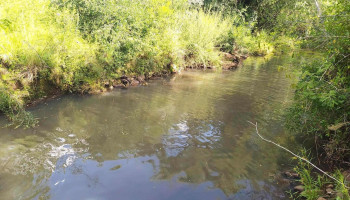 Chacra Las Tunas - Artigas