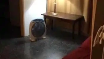 Cid Srl Radiografía y Tomografías Cone Beam Maxilofacilaes, Escaneado Intraoral 3d - Paysandú