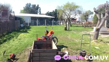 Cifer Barraca del Puente - Esquina Siegrest Y Fender