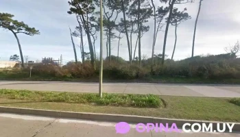 Cimeb Clínica Integral de Medicina Biológica - Punta Del Este Cimeb Clínica Integral de Medicina Biológica - Punta Del Este