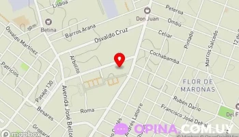 Cle 2 - Centro De Lenguas Extranjeras - Cno. Maldonado 5377 A