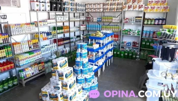 Clee limpieza Mercedes - 75000 Mercedes