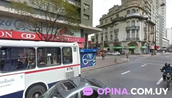 Clinica Capilar Palmarino - Montevideo