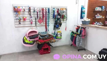 Clinica Veterinaria Huellas - Durazno Clinica Veterinaria Huellas - Durazno