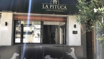 Clínica Veterinaria La Pituca - 40000 Rivera