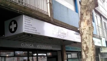 Clinica Veterinaria Lo de Mishka - 11200 Montevideo