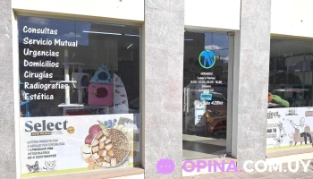 Clínica Veterinaria Olimar - Carmelo Clínica Veterinaria Olimar - Carmelo