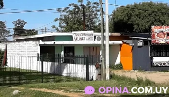 Clinica Veterinaria Salinas - Ruta 87 Clinica Veterinaria Salinas - Ruta 87
