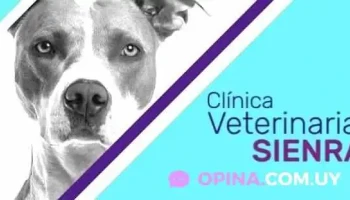 Clínica Veterinaria Sienra - 20000 Maldonado