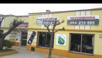 Clínica Veterinaria 