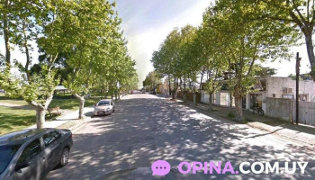 Clínica Veterinaria Zamora's - Tarariras Clínica Veterinaria Zamora's - Tarariras