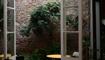 Clorofila - Montevideo Clorofila - Montevideo