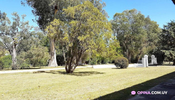 Club Atlético Aguas Corrientes . - Aguas Corrientes Club Atlético Aguas Corrientes . - Aguas Corrientes