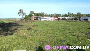 Club Atletico Colonia - Manuel Quintela