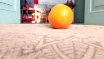 club de niños - Santa Rosa club de niños - Santa Rosa