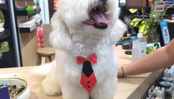 Club Pet´s Uruguay - 40000 Rivera