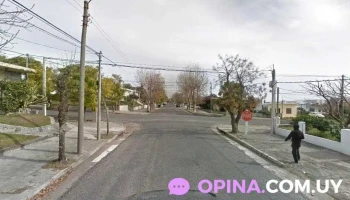 Codent - 70000 Col. Del Sacramento