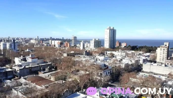 Codesal Negocios Inmobiliarios - Montevideo