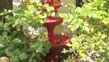 Colegio Padre Pio - Maldonado Colegio Padre Pio - Maldonado