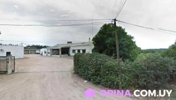 Comida de perros - 12400 Montevideo