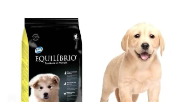 Comunidad Animal uy - 11200 Montevideo Comunidad Animal uy - 11200 Montevideo