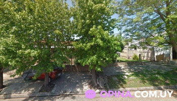 Consultorio “amor” de Claudia Pardo - Tala