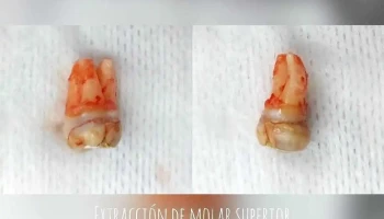 Consultorio Odontológico Dra.Virginia Díaz Bentancur - Florida Consultorio Odontológico Dra.Virginia Díaz Bentancur - Florida