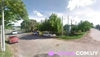 Cooperativa Covifauny - Young Cooperativa Covifauny - Young