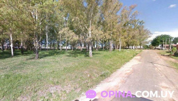 Cooperativa de viviendas Co.vi.si. Young - Young